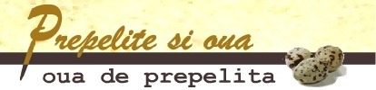 Oua de prepelita, prepelite, prepelitesioua.ro, oua prepelita rosiori - Pret | Preturi Oua de prepelita, prepelite, prepelitesioua.ro, oua prepelita rosiori