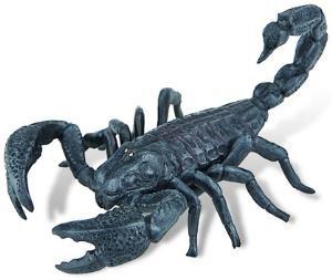 Miniatura Bullyland - Animale salbatice - Scorpion - Pret | Preturi Miniatura Bullyland - Animale salbatice - Scorpion