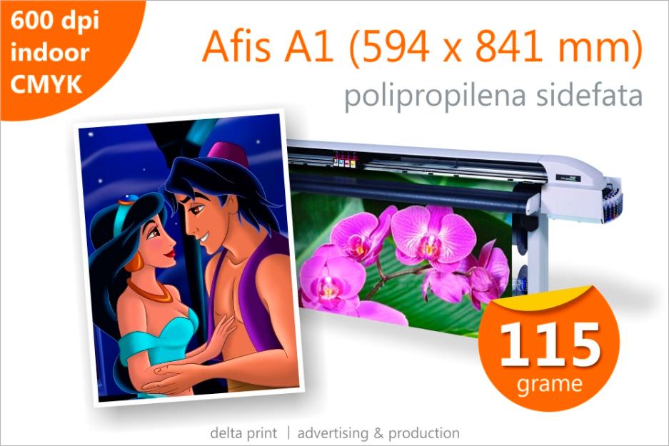 Afis A1 - 15 lei Print indoor pe polipropilena sidefata 115g - Pret | Preturi Afis A1 - 15 lei Print indoor pe polipropilena sidefata 115g