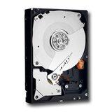 Hard disk Western Digital Server RE4, 1TB, 64MB, SATA 2, 7200rpm - Pret | Preturi Hard disk Western Digital Server RE4, 1TB, 64MB, SATA 2, 7200rpm