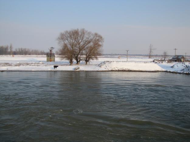 teren intravilan delta dunarii schimb cu constanta (imprejurimi constanta) - Pret | Preturi teren intravilan delta dunarii schimb cu constanta (imprejurimi constanta)