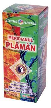 Tinctura Meridian Plaman 100ml - Pret | Preturi Tinctura Meridian Plaman 100ml