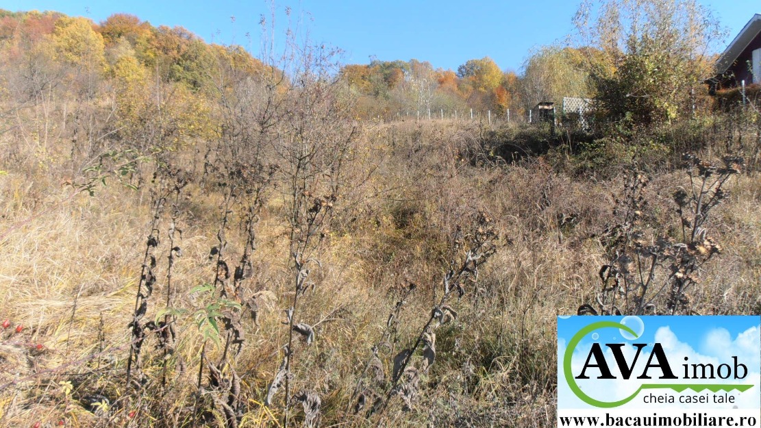 Vand teren in Podis, zona Dubas, cu utilitati, zona superba, langa padure - Pret | Preturi Vand teren in Podis, zona Dubas, cu utilitati, zona superba, langa padure