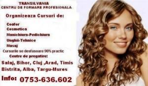 Cursuri coafor cursuri cosmetica cursuri manichiura- pedichiura - Pret | Preturi Cursuri coafor cursuri cosmetica cursuri manichiura- pedichiura