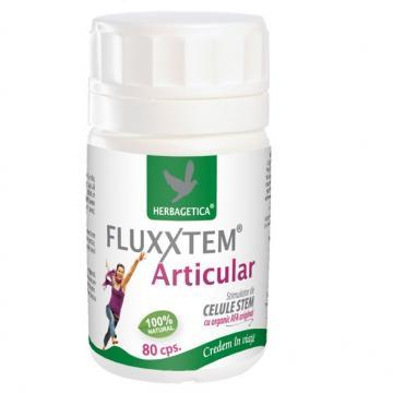 Fluxxtem Articular *80cps - Pret | Preturi Fluxxtem Articular *80cps