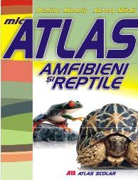 Mic atlas - Amfibieni si reptile - Pret | Preturi Mic atlas - Amfibieni si reptile