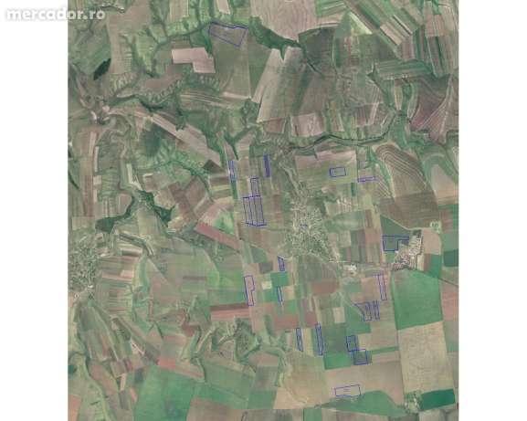 Teren extravilan 112 ha comasate 60% Deleni jud. Constanta - Pret | Preturi Teren extravilan 112 ha comasate 60% Deleni jud. Constanta