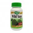 Wild Yam Root - Pret | Preturi Wild Yam Root