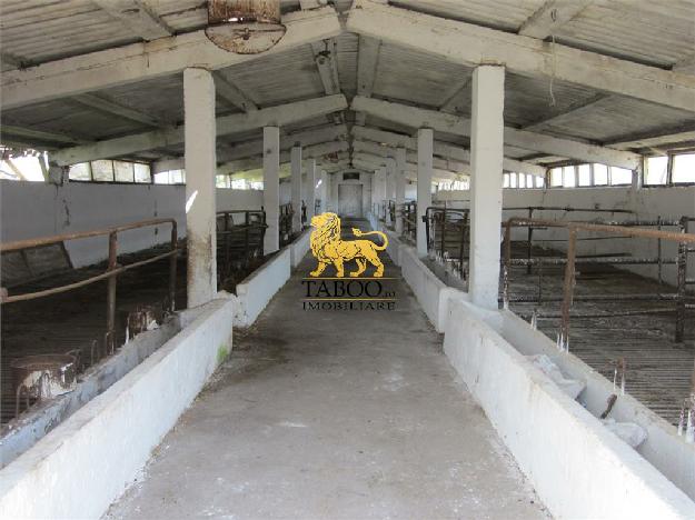 Ferma de bovine de vanzare langa Cristian in apropiere de Sibiu - Pret | Preturi Ferma de bovine de vanzare langa Cristian in apropiere de Sibiu