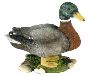 Mallard Drake - Pret | Preturi Mallard Drake