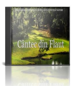 CD-uri muzica ambientala 1+3 GRATIS - Pret | Preturi CD-uri muzica ambientala 1+3 GRATIS