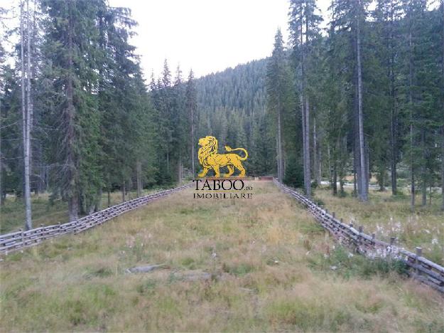 Teren de vanzare pe Valea Lotrului in apropiere de Transalpina Ski - Pret | Preturi Teren de vanzare pe Valea Lotrului in apropiere de Transalpina Ski