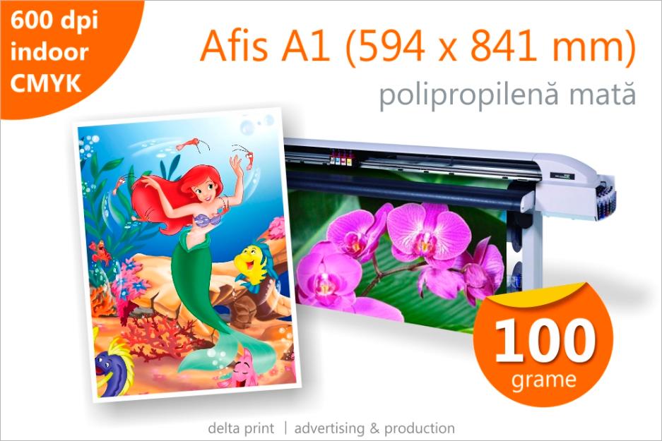 Afis A1 – 14 lei Print indoor pe polipropilena mata 100g - Pret | Preturi Afis A1 – 14 lei Print indoor pe polipropilena mata 100g