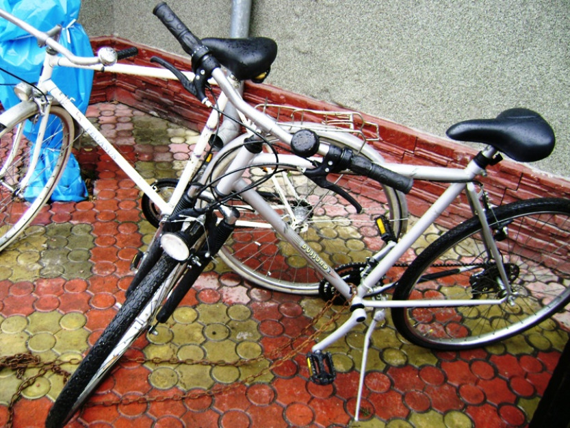 Biciclete de germania - Pret | Preturi Biciclete de germania
