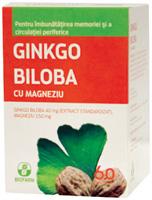 Ginkgo Biloba Magneziu *60cpr - Pret | Preturi Ginkgo Biloba Magneziu *60cpr