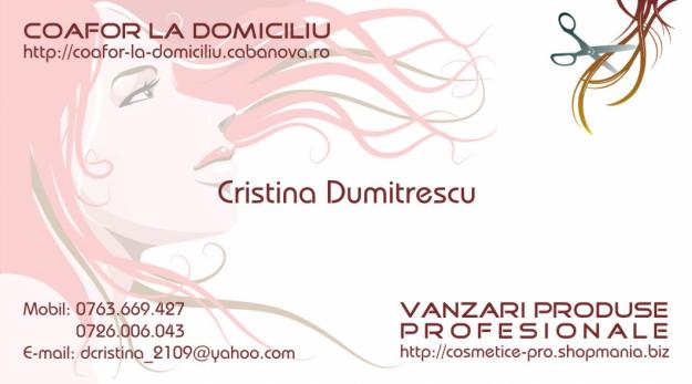 PRESTARI SERVICII - Pret | Preturi PRESTARI SERVICII