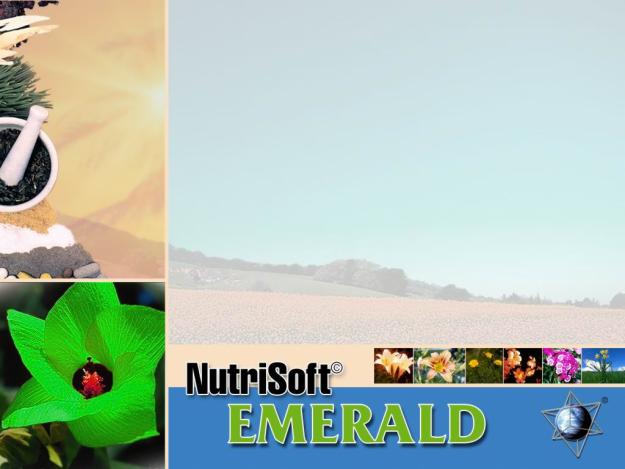 Biorezonanta cu Metatron (Nutrisoft Emerald) - Pret | Preturi Biorezonanta cu Metatron (Nutrisoft Emerald)