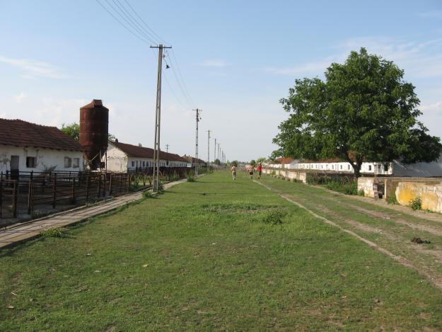 Vand ferma Arad dn7 la intrare in Nadlac - Pret | Preturi Vand ferma Arad dn7 la intrare in Nadlac