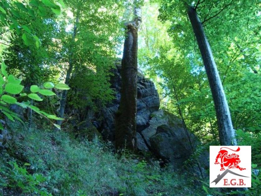 Vand padure 60 ha Arges - Pret | Preturi Vand padure 60 ha Arges