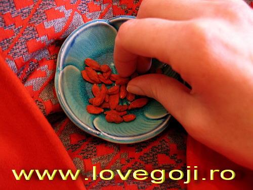 Fructe Goji din Tibet - Pret | Preturi Fructe Goji din Tibet