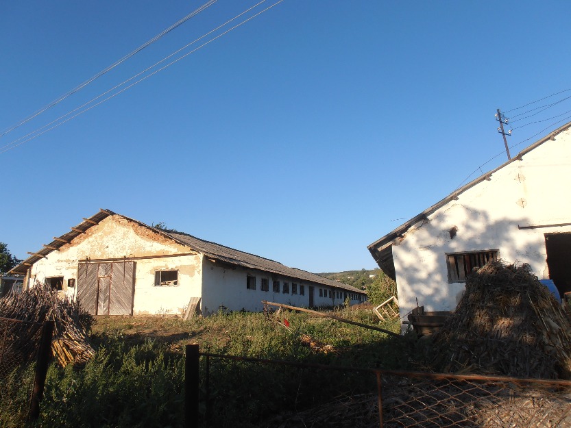 ferma vaslui zapodeni. 2grajdiuri , spatiu administratic si 5000 mp teren - Pret | Preturi ferma vaslui zapodeni. 2grajdiuri , spatiu administratic si 5000 mp teren