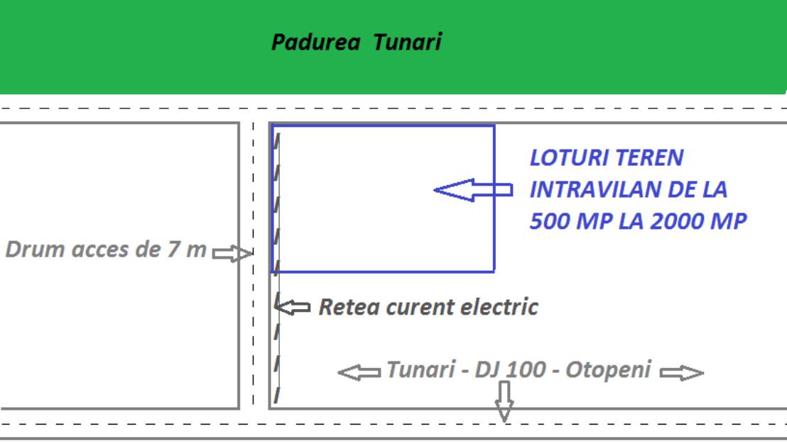 Loturi 500 - 2000 mp teren intravilan la padure Tunari - Otopeni - Pret | Preturi Loturi 500 - 2000 mp teren intravilan la padure Tunari - Otopeni