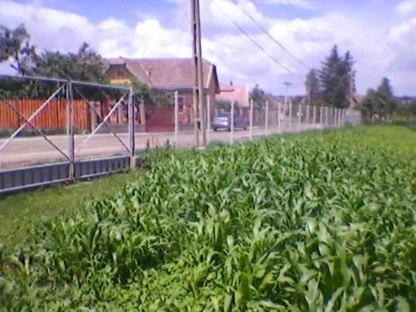  - Pret | Preturi 