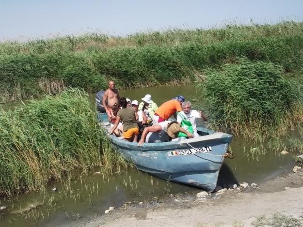 Transport Gura Portitei Jurilovca - Pret | Preturi Transport Gura Portitei Jurilovca