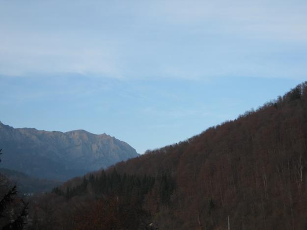 Garsoniera de vanzare in Sinaia !!! - Pret | Preturi Garsoniera de vanzare in Sinaia !!!