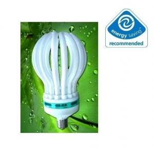 Bec economic tip bulb cu lumina alba 85w - Pret | Preturi Bec economic tip bulb cu lumina alba 85w