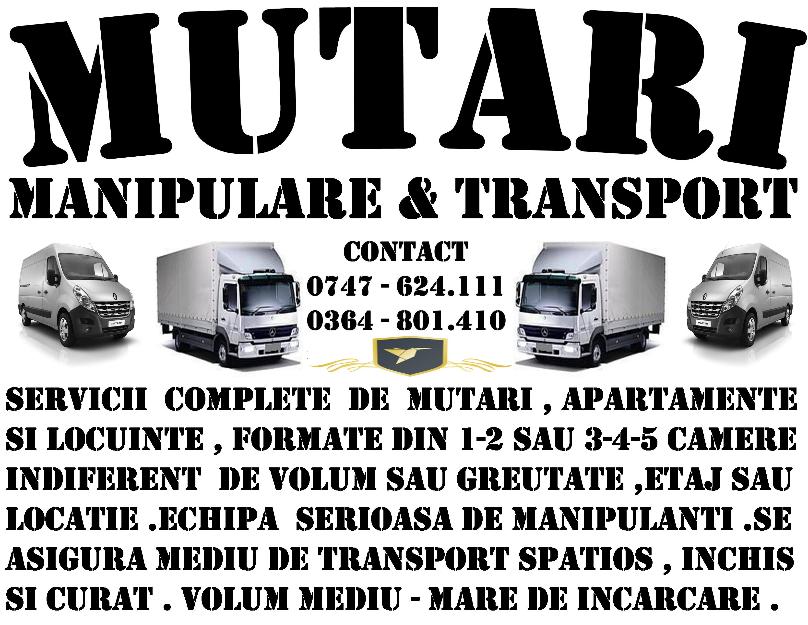 Transport & mutari - intern & international - Pret | Preturi Transport & mutari - intern & international