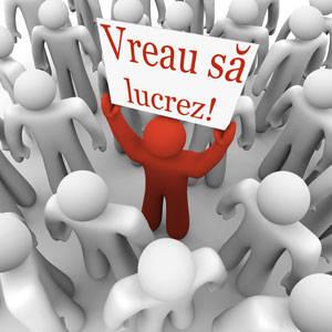 E criza - caut job! - Pret | Preturi E criza - caut job!