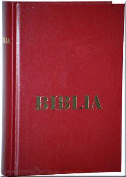 Biblia format foarte-foarte mare - Pret | Preturi Biblia format foarte-foarte mare
