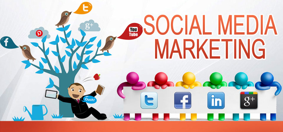 Social Media Marketing - Pret | Preturi Social Media Marketing
