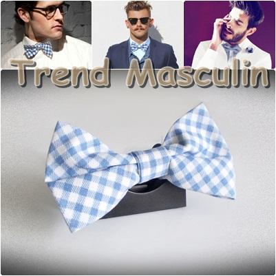 Papion Casual Elegant Dublu Carouri Aqua - Pret | Preturi Papion Casual Elegant Dublu Carouri Aqua