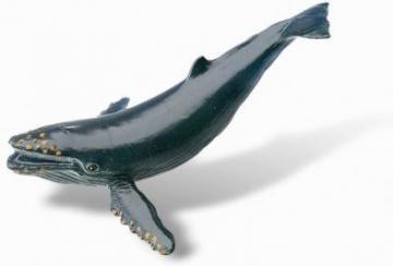 Miniatura Bullyland - Animale salbatice - Balena - Pret | Preturi Miniatura Bullyland - Animale salbatice - Balena
