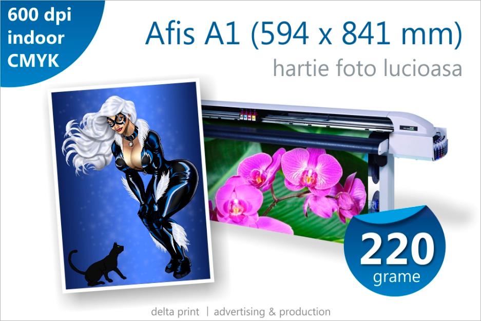 Afis A1 - 15 lei Print indoor pe hartie fotografica lucioasa 220g - Pret | Preturi Afis A1 - 15 lei Print indoor pe hartie fotografica lucioasa 220g