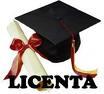 Lucrare licenta Informatica: Comert Electronic - Pret | Preturi Lucrare licenta Informatica: Comert Electronic