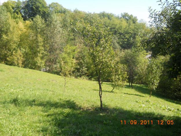 TEREN PT CASA DE VACANTA IN BREAZA 570MP - Pret | Preturi TEREN PT CASA DE VACANTA IN BREAZA 570MP