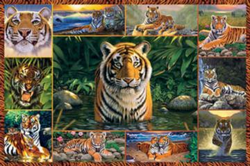 Puzzle Ravensburger 5000 Lumea tigrului - Pret | Preturi Puzzle Ravensburger 5000 Lumea tigrului