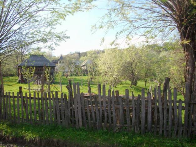 Vand teren cu livada comuna Nucsoara - Pret | Preturi Vand teren cu livada comuna Nucsoara