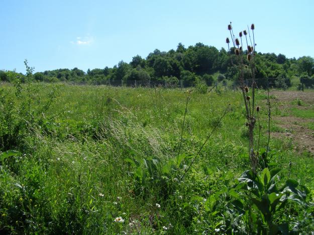 Teren extravilan, Valea Ghinzii - Pret | Preturi Teren extravilan, Valea Ghinzii