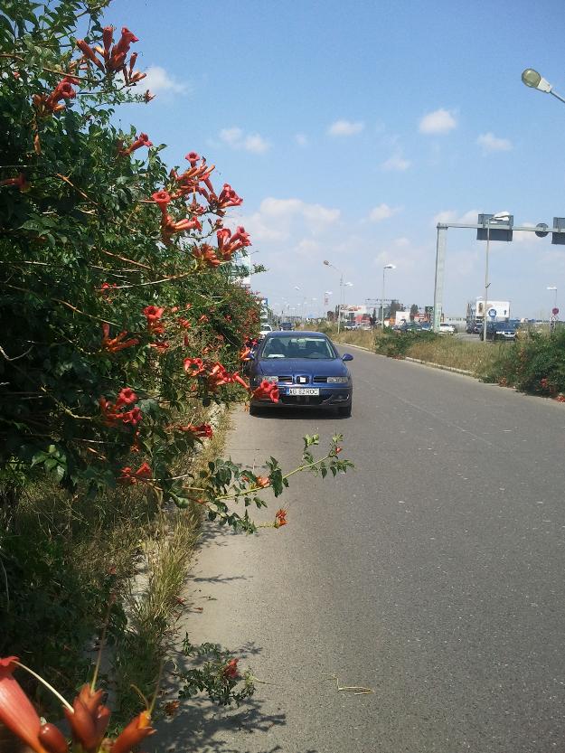 vand seat toledo - Pret | Preturi vand seat toledo
