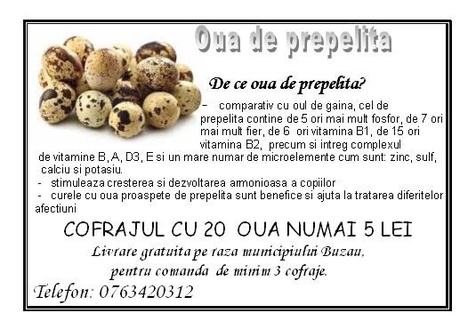 Oua de prepelita Buzau - Pret | Preturi Oua de prepelita Buzau