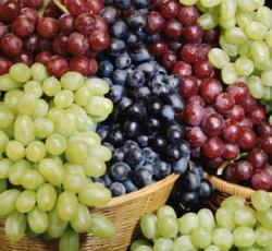 Vand Struguri de Masa si de Vin - Pret | Preturi Vand Struguri de Masa si de Vin