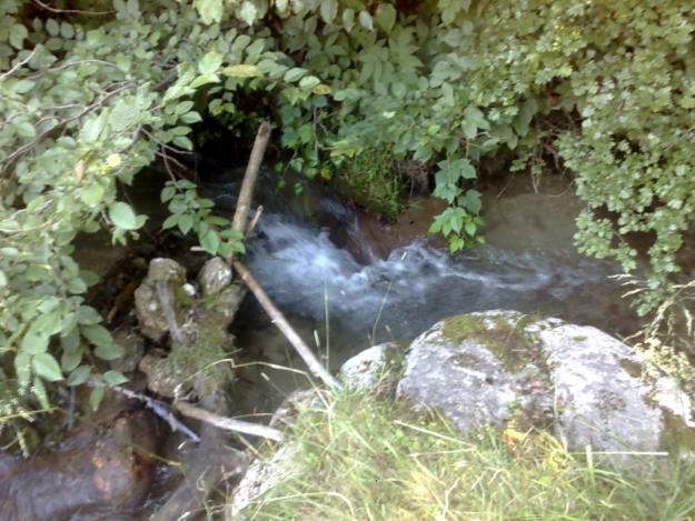 teren cu apa curgatoare in Brasov zona Glajerie 5 euro - Pret | Preturi teren cu apa curgatoare in Brasov zona Glajerie 5 euro