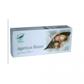 Agaricus Blazei *30cps - Pret | Preturi Agaricus Blazei *30cps