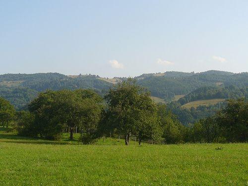 Vand teren in Sibiel, zona montana, Marginimea Sibiului - Pret | Preturi Vand teren in Sibiel, zona montana, Marginimea Sibiului