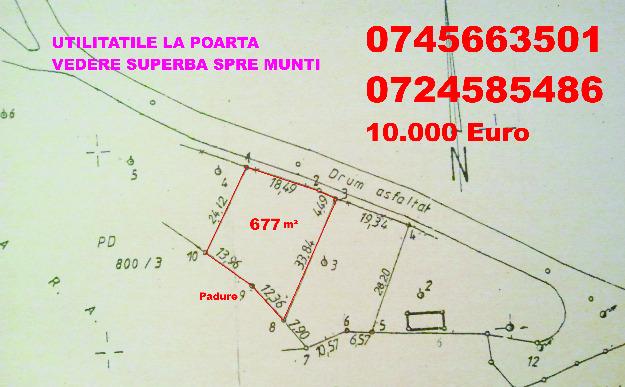 Proprietar vand teren crama seciu - Pret | Preturi Proprietar vand teren crama seciu