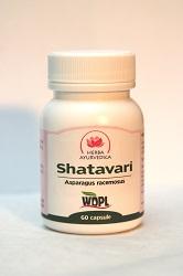 Shatavari 500mg *60cps - Pret | Preturi Shatavari 500mg *60cps